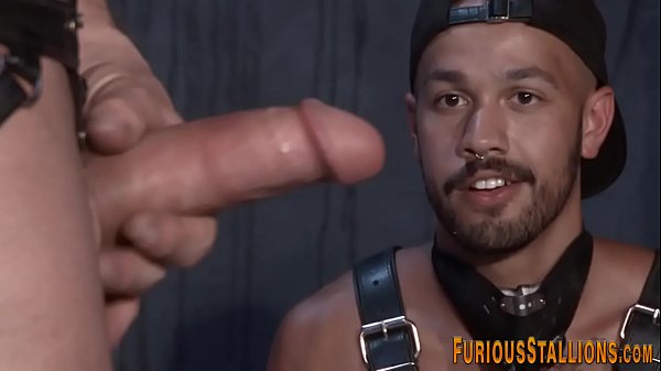 Hung buff stud blows load