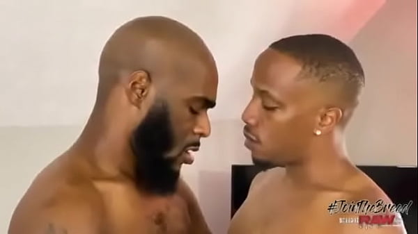 Apprivoiser le serpent noir : Venom et J Kreams