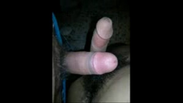 140 55 avant JCNtp-S497-